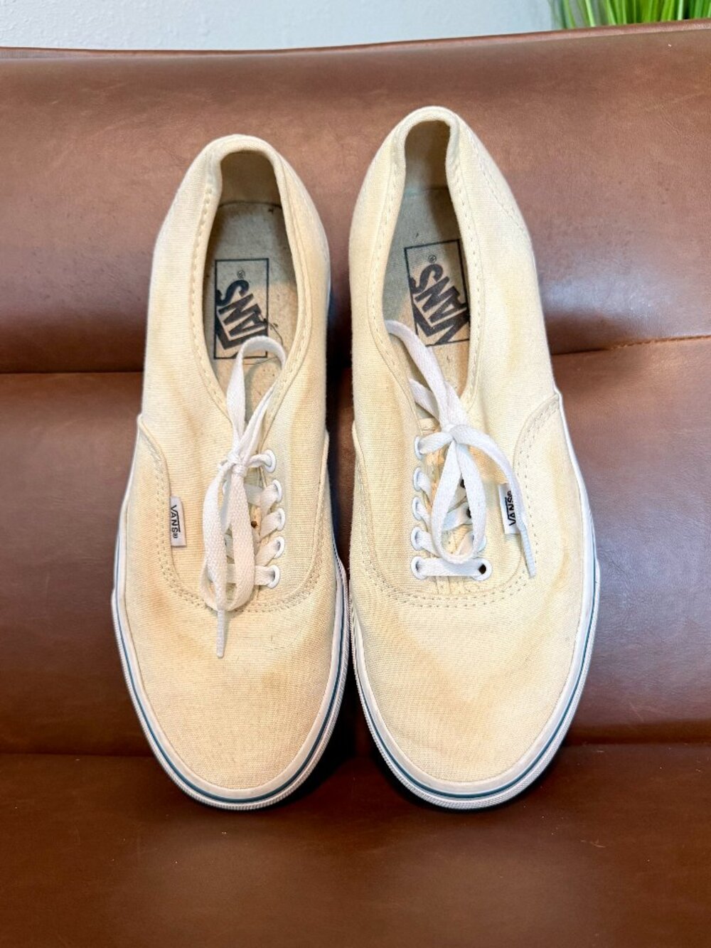 Vans Authentic low profile lace up shoes, men's size 9, white/offwhite/cream